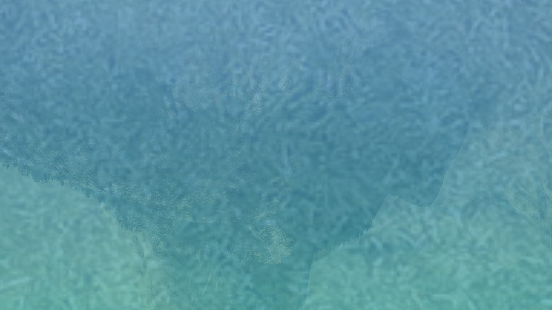 网页DDOS攻击平台